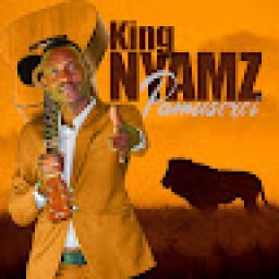 @king-nyamz