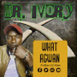 @mr-ivory