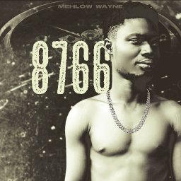 @mehlow-wayne