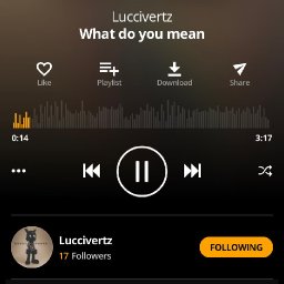 @luccivertz