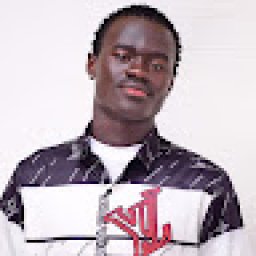 @ayam-polse-willis