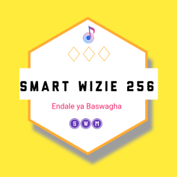 @smart-wizie256