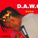 D wave rsa