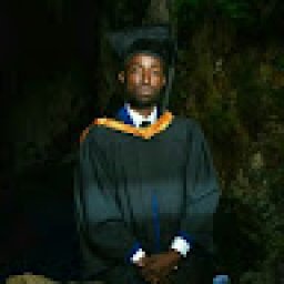 @lincoln-shona-mironga