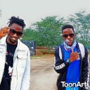 professional justice