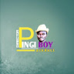 @official-pingi-boy