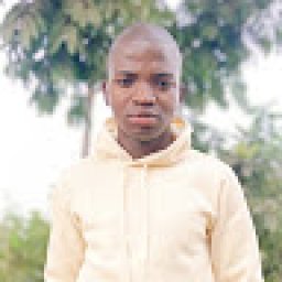 @felizardo-vilanculos