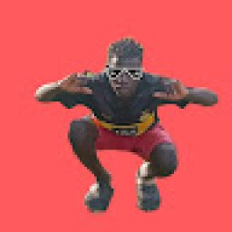 @panzey-ug-the-best-of-top-twice