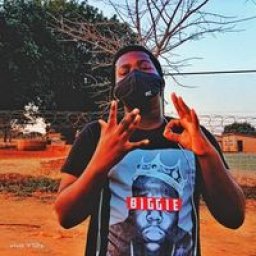 @fezilemankge