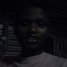 @tarii